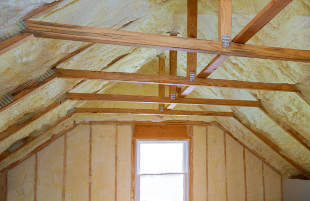 Best Cellulose Insulation in Westchester, FL